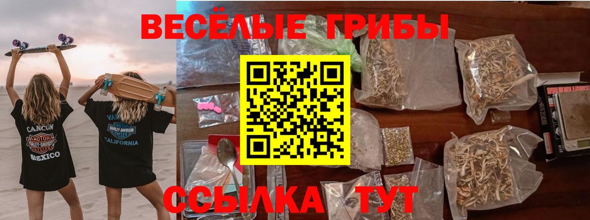 Галлюциногенные грибы ЛСД  магазин продажи наркотиков  Клинцы  Вход с VPN 